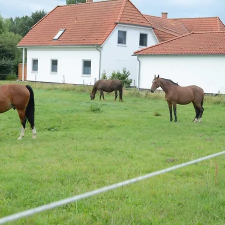 Ferienwohnung Boddenblick